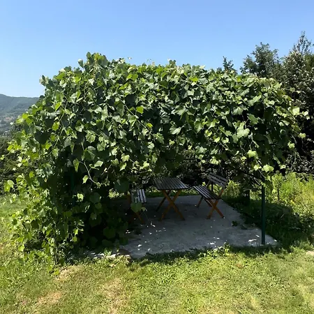 Mana Villa Ivanjica