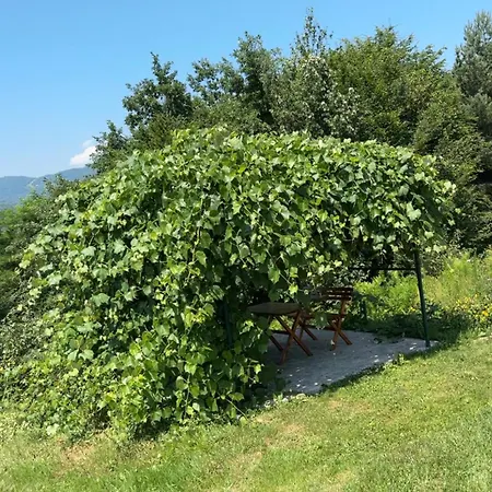 Mana Ivanjica